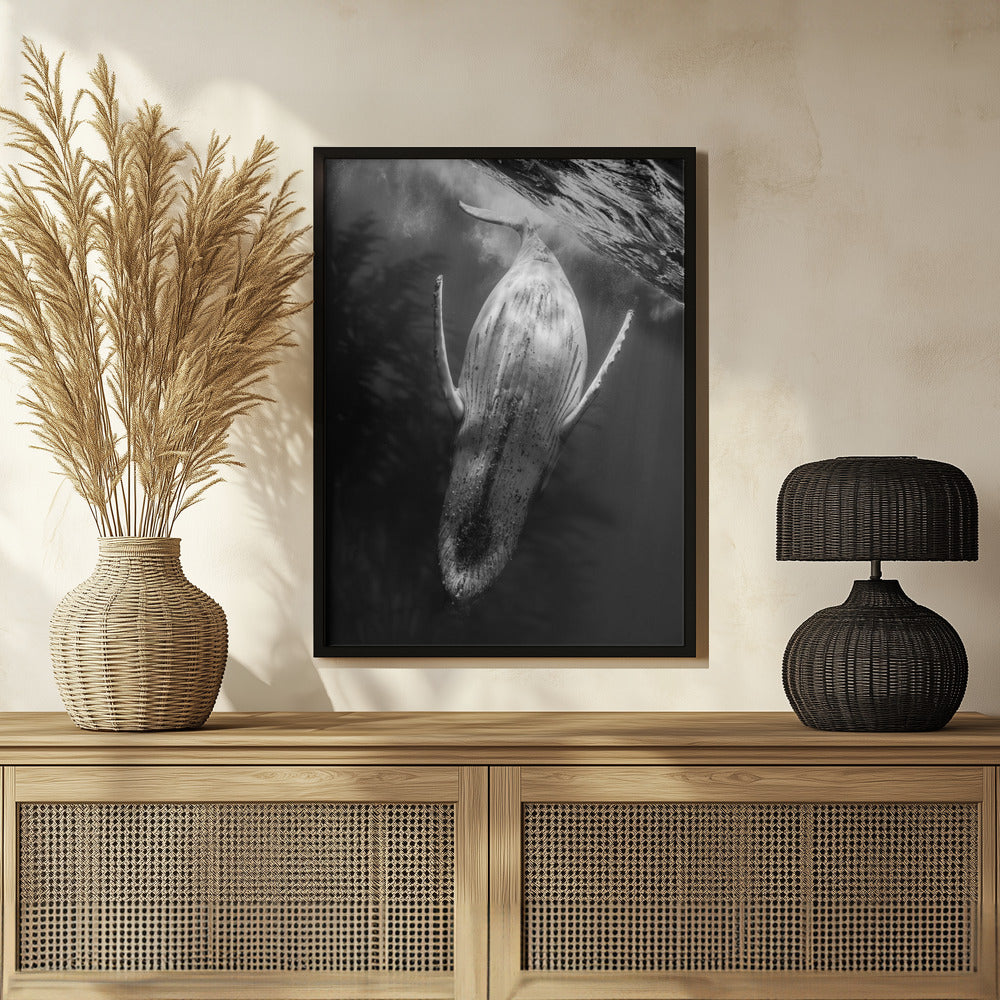 Black & Whale Poster